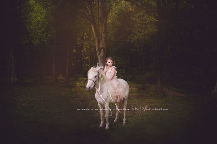 Champagne flower girl dress -- lace dress -- Unicorn Pictures -- country flower girl dress -lace flower girl dress - rustic flower girl - Pretty's Bowtique